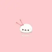 スギ