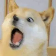 さか