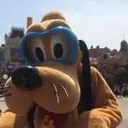 ぽぽんの画像