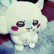 さくらさくらの画像