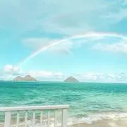ワイ☆キキの画像