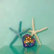 Mintblueの画像