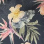 あずきの画像