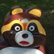 たぬきちの画像