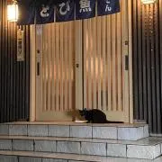けんの画像
