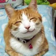 くるみの画像
