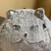 もじゃの画像