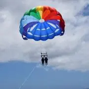 はのぴよ
