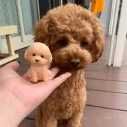 あい