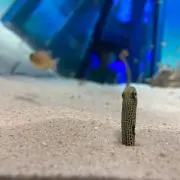 ぽむ断捨離中の画像