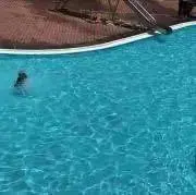 こななの画像