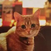 ぴぃ