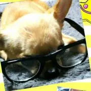 じんちゃん