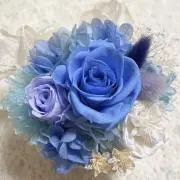 ゆき  ☆プロフ要確認☆の画像