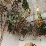 cojikaの画像