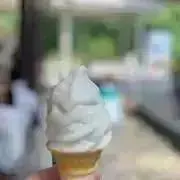 よぴの画像
