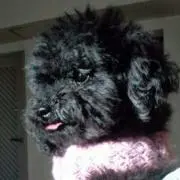 Megu☆の画像