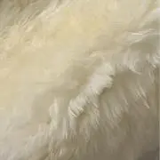 ゆるゆるんの画像