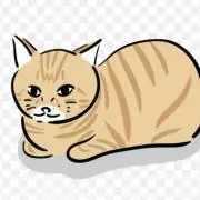 こむちゃん♪の画像