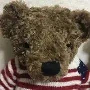 くぼこの画像