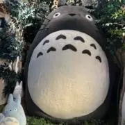 よしの画像