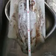 K工房AKAアロハ