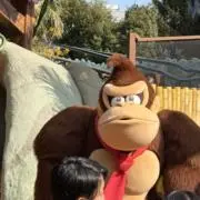 VKの画像