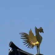 niの画像