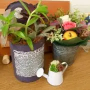 みかんᒼᑋªⁿ♥︎
