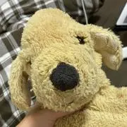 ハロウィン