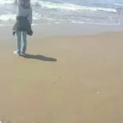 パルティの画像