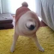 しるば