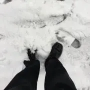 よねの画像