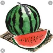 kinako＊の画像