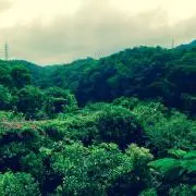 この