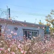 よじゅんの画像
