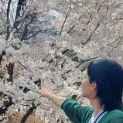 mi プロフの確認をお願いします。の画像