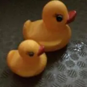 Mの画像