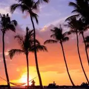 anzhawaiiの画像