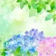 たぬたぬの画像