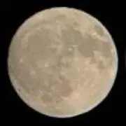 やる気元気の画像