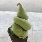 ゆーの画像