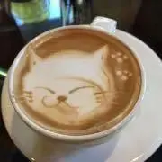 ももちゃんの画像