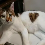 ゆずそら