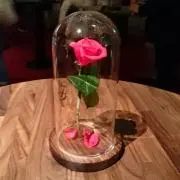 Ayappe@☆ミの画像