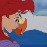 naaの画像