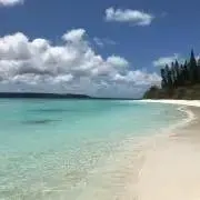 きなこの画像