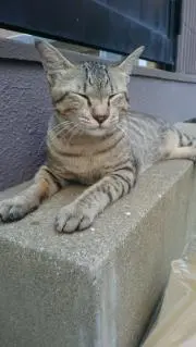 悠