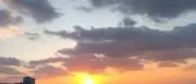 YUYの画像