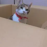 manaの画像